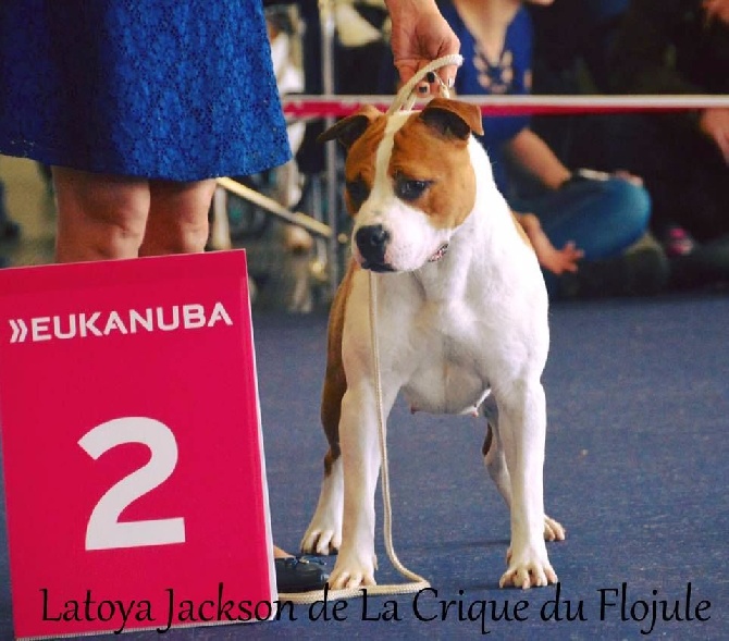 De la crique du Flojule - Latoya 2eme sur 24 au championnat de france 2016