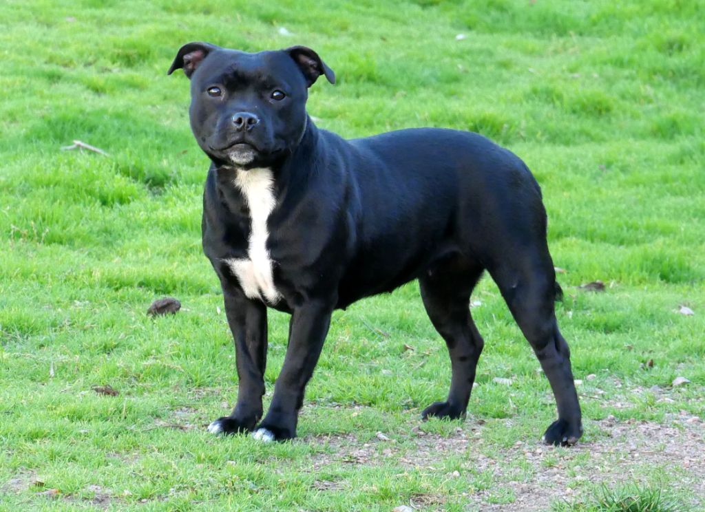 Vortex De la crique du Flojule