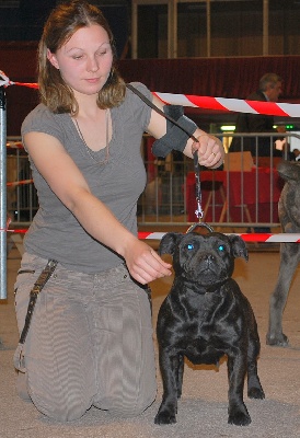 De la crique du Flojule - Chelsea 1 er excellent ,CACM, CACIB a monaco 2009